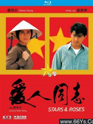 热播剧